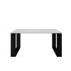 Aldabra MIX Salon Loft modern dohányzóasztal, 90x50x58 cm, fehér-fekete